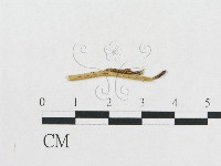 登錄號:F0011970藏品圖，第4張