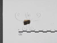 登錄號:F0011971藏品圖，第1張
