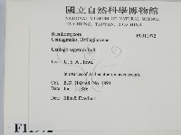 登錄號:F0011972藏品圖，第2張