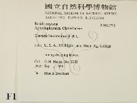 登錄號:F0011973藏品圖，第2張