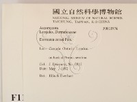 登錄號:F0011974藏品圖，第2張