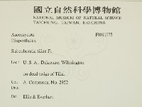 登錄號:F0011975藏品圖，第2張