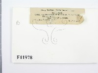 登錄號:F0011978藏品圖，第2張
