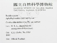 登錄號:F0011978藏品圖，第3張
