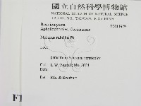 登錄號:F0011979藏品圖，第2張