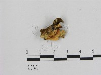 登錄號:F0011979藏品圖，第1張