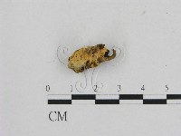 登錄號:F0011979藏品圖，第3張