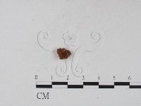 登錄號:F0011980藏品圖，第1張