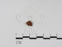 登錄號:F0011980藏品圖，第3張