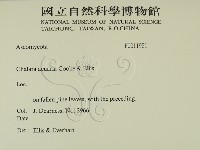 登錄號:F0011981藏品圖，第2張