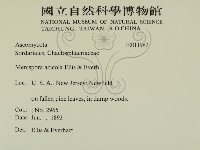 登錄號:F0011982藏品圖，第2張