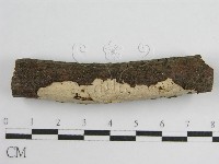 登錄號:F0011983藏品圖，第3張