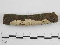 登錄號:F0011983藏品圖，第4張