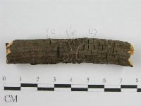 登錄號:F0011983藏品圖，第5張