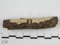 登錄號:F0011983藏品圖，第7張