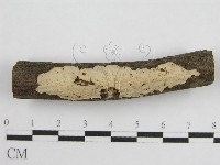 登錄號:F0011983藏品圖，第8張