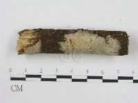 登錄號:F0011984藏品圖，第4張