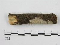 登錄號:F0011984藏品圖，第5張