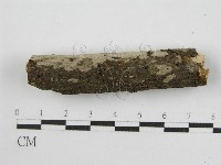 登錄號:F0011984藏品圖，第6張