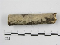 登錄號:F0011984藏品圖，第7張