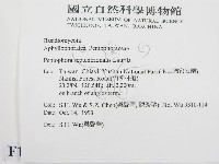 登錄號:F0011985藏品圖，第2張
