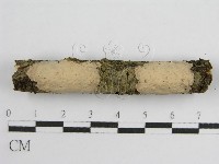登錄號:F0011985藏品圖，第1張