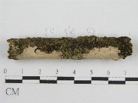 登錄號:F0011985藏品圖，第3張