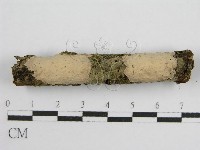 登錄號:F0011985藏品圖，第7張