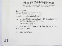 登錄號:F0011986藏品圖，第2張