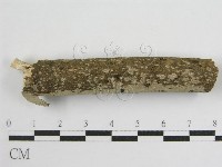 登錄號:F0011986藏品圖，第5張