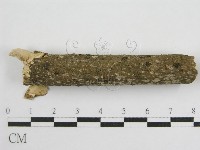 登錄號:F0011986藏品圖，第6張