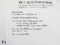 登錄號:F0011987藏品圖，第2張