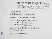 登錄號:F0011988藏品圖，第2張