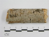 登錄號:F0011988藏品圖，第1張