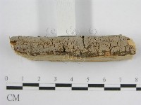 登錄號:F0011988藏品圖，第5張