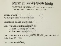 登錄號:F0011989藏品圖，第2張