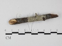 登錄號:F0011989藏品圖，第1張