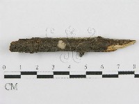 登錄號:F0011989藏品圖，第5張