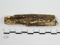 登錄號:F0011990藏品圖，第1張