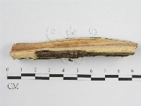 登錄號:F0011990藏品圖，第3張