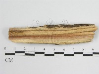 登錄號:F0011990藏品圖，第4張