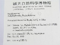 登錄號:F0011991藏品圖，第2張