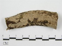 登錄號:F0011991藏品圖，第1張