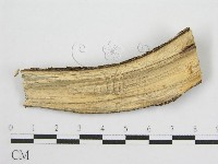 登錄號:F0011991藏品圖，第3張