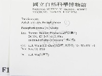 登錄號:F0011992藏品圖，第2張