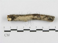 登錄號:F0011992藏品圖，第1張