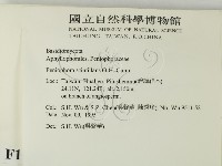 登錄號:F0011993藏品圖，第2張