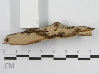 登錄號:F0011993藏品圖，第5張