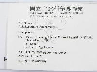 筍殼菌屬藏品圖，第2張