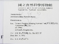 筍殼菌屬藏品圖，第2張